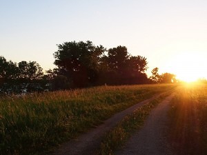 Morning in Minnesota